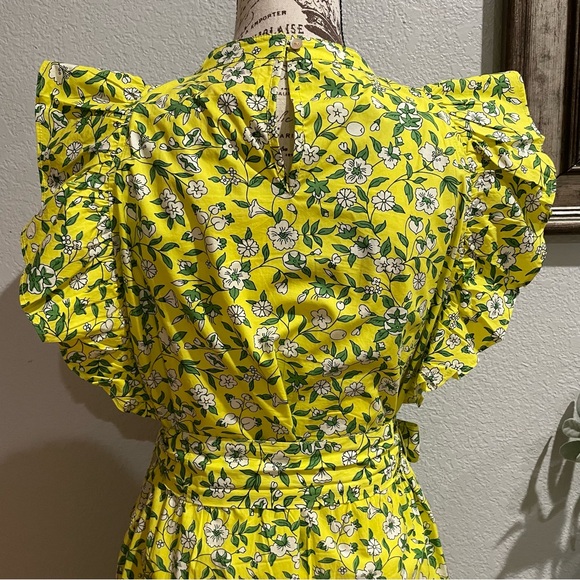 Banjanan Audrey Mini Dress - Picture 7 of 8